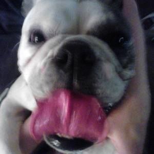 Meet your Posher, Keith